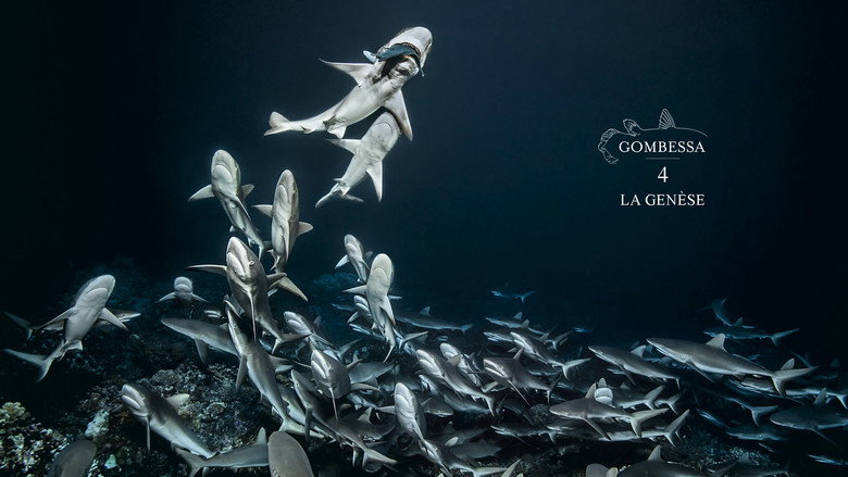 700 Sharks (Gombessa 4, Genesis) still 5