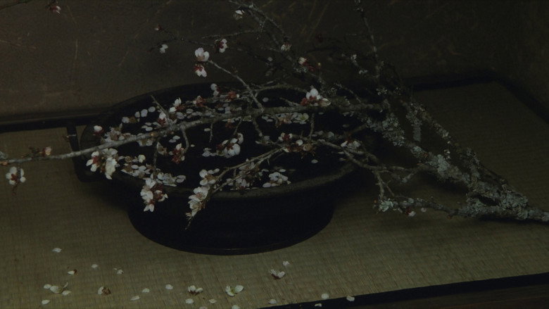 Rikyu still 5