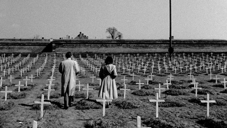 Distant Journey still 1