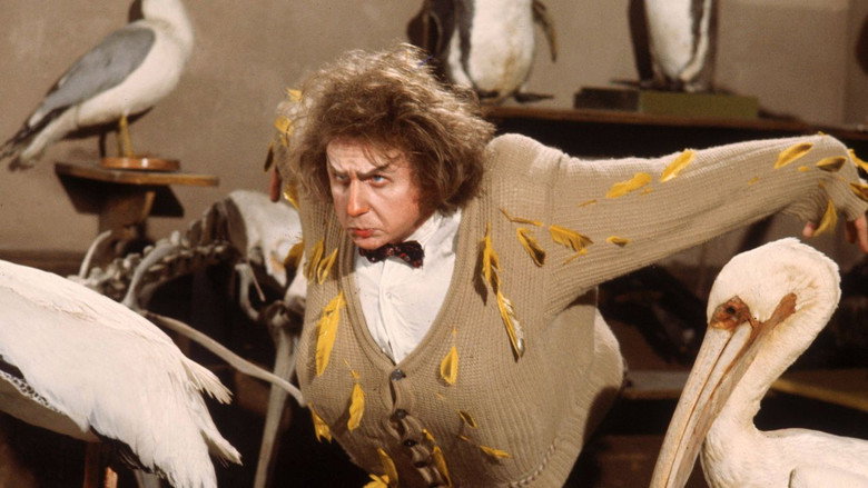 Brewster McCloud still 6