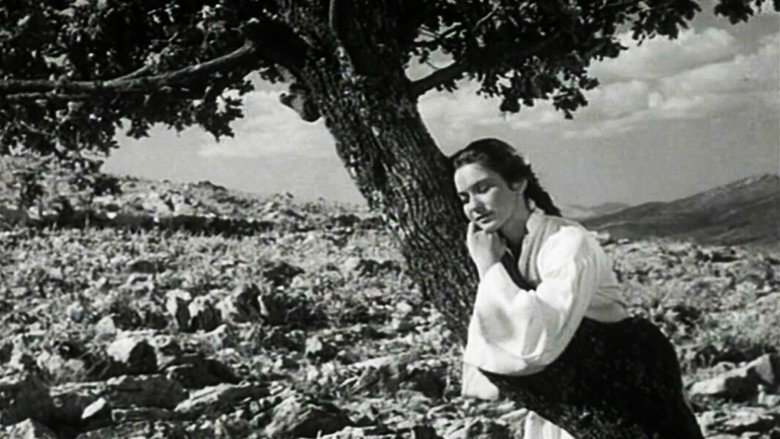 The Girl and the Oak still 3