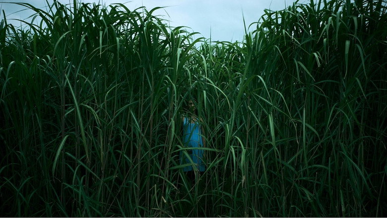 In the Tall Grass still 6
