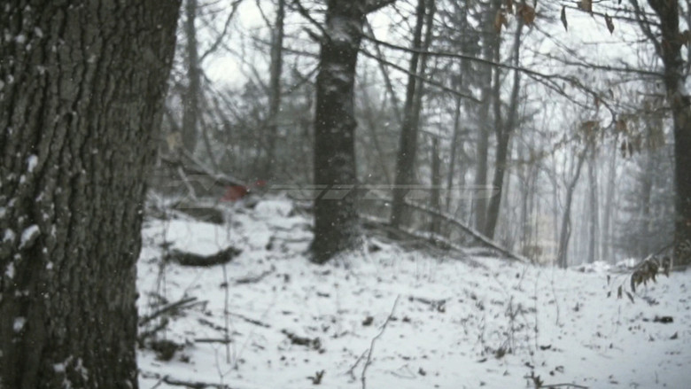 Element of Survival still 1