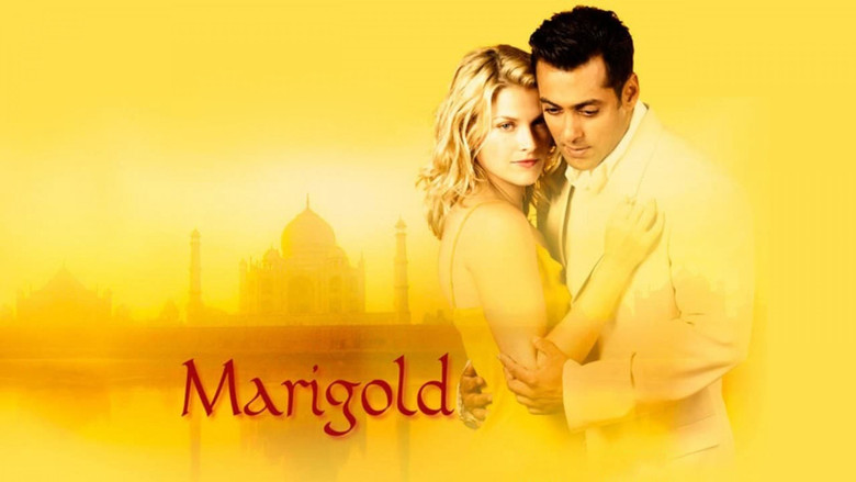 Marigold still 3