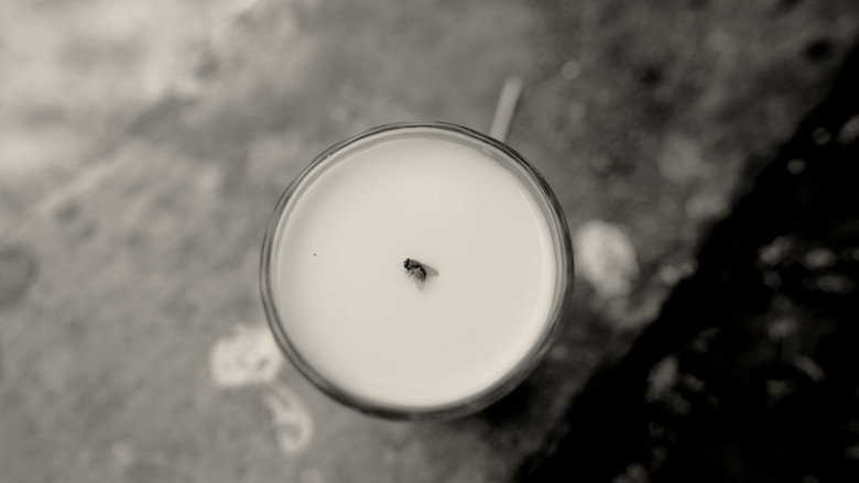 A Fly Floating In The Midst Of The Milk still 6