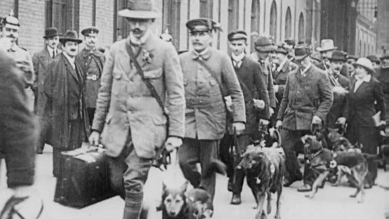 Red Cross Dogs still 1