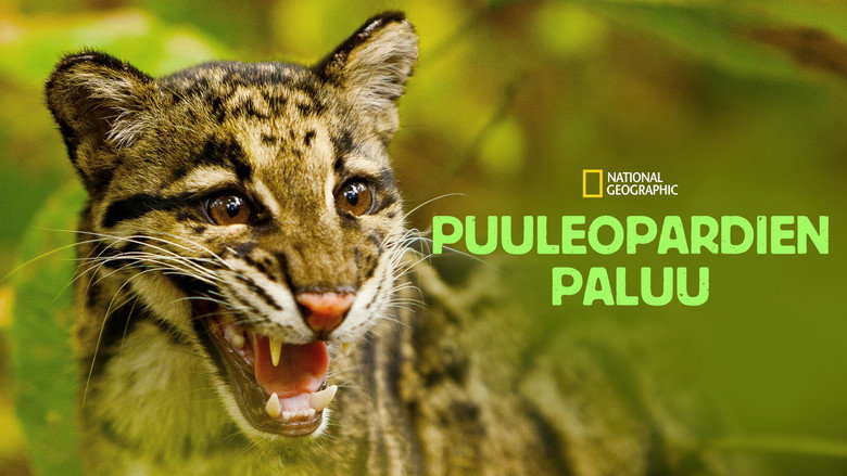 Return of the Clouded Leopards still 5