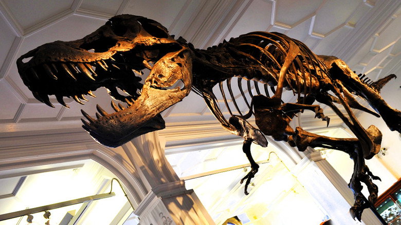 How to Build a Dinosaur still 1