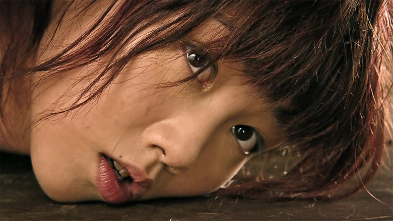 Concerto of the Bully still 2