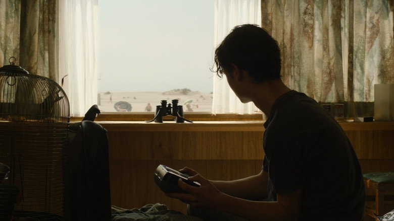 Beautiful Alexander still 8