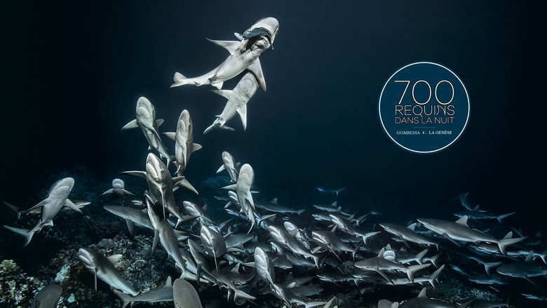 700 Sharks (Gombessa 4, Genesis) still 1