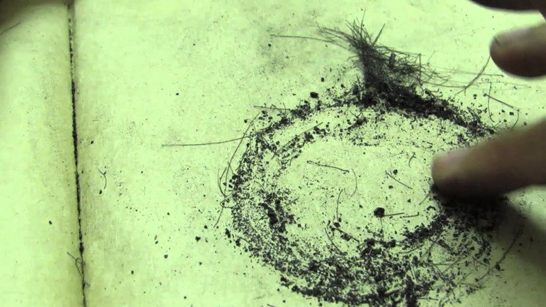 circles still 1