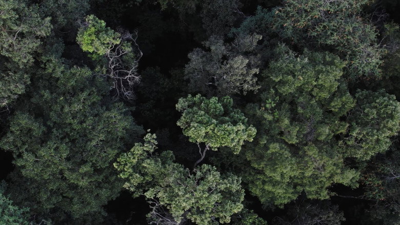Katurãma: uma história de luta e resistência still 4