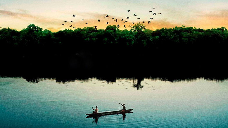 Eternal Amazonia still 1