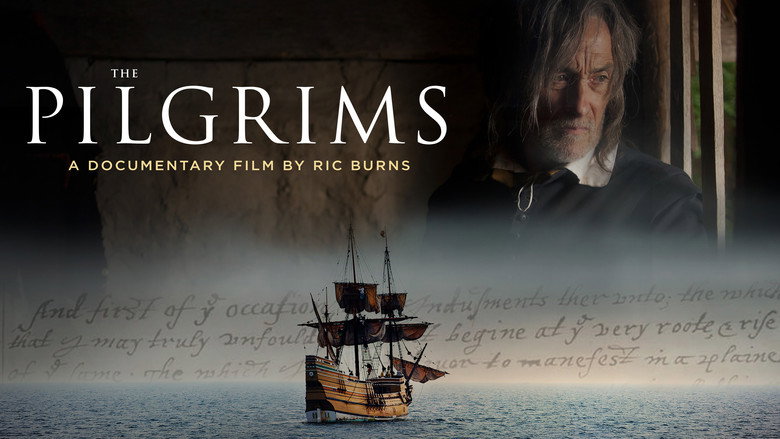 The Pilgrims still 2