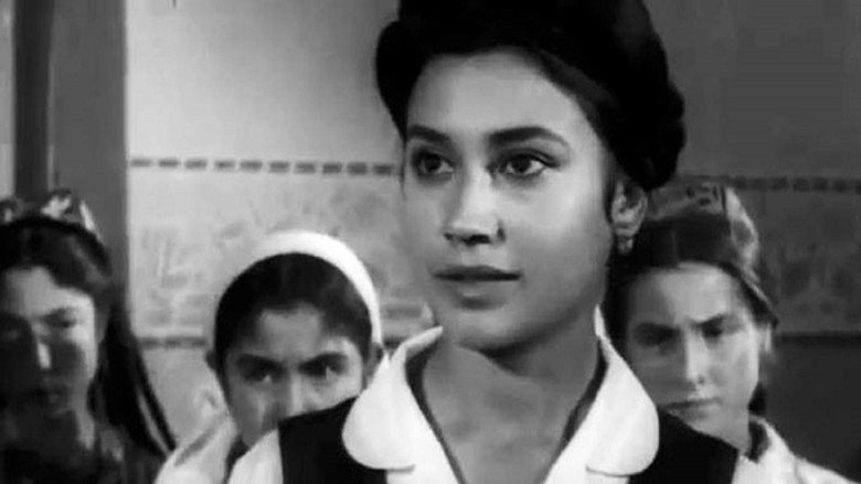 Hasan Arbakesh still 2