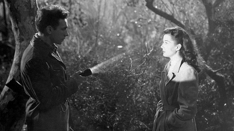 Moonrise still 3