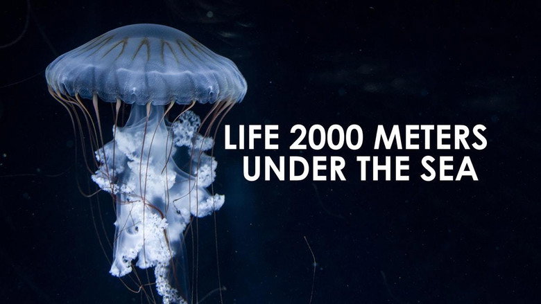 Life 2,000 Meters Under the Sea still 1