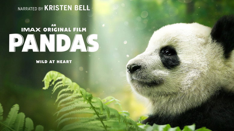 Pandas still 3