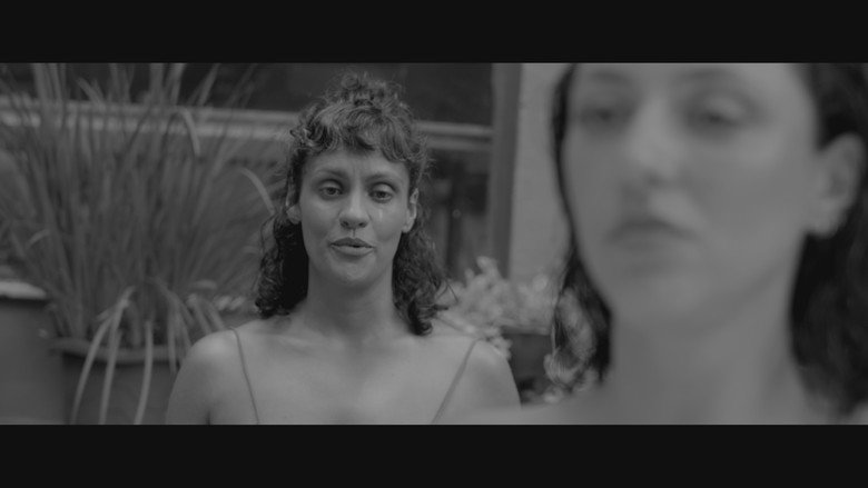 Avenca still 5
