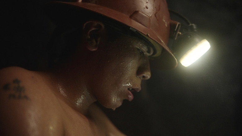 Materia Prima still 4