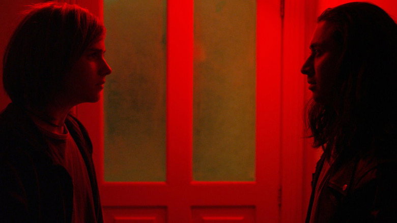 Holiday still 5