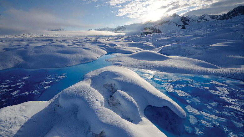 Climate Change: Our Planet - The Arctic Story still 1
