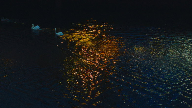Delicacy still 2