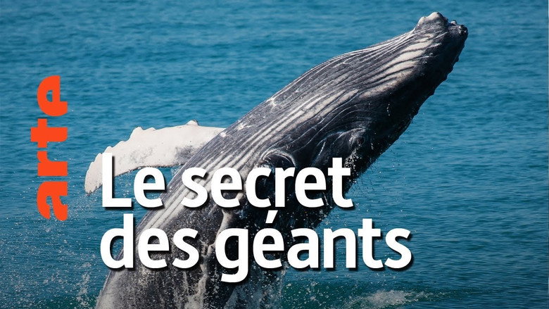 The Cradle of Whales still 1