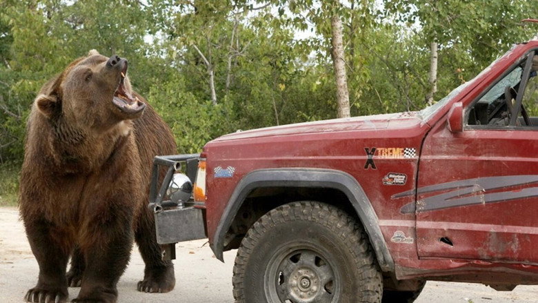 Grizzly Rage still 2