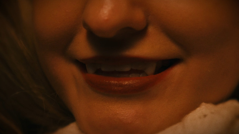 Blood still 5