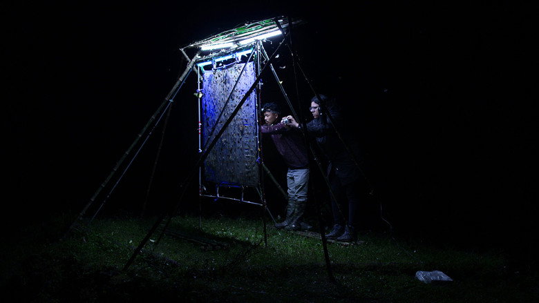 Nocturnes still 3