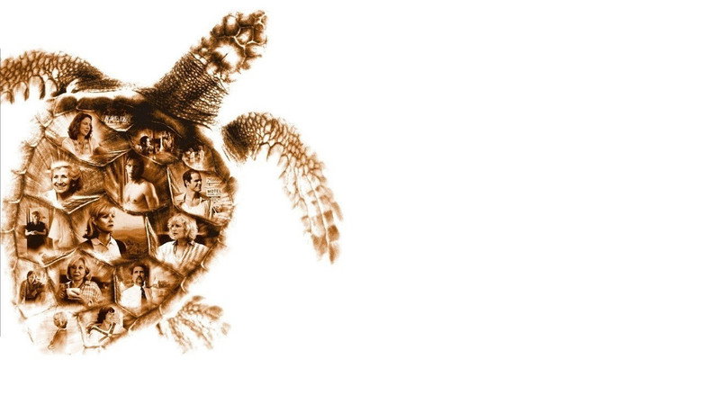 Loggerheads still 2
