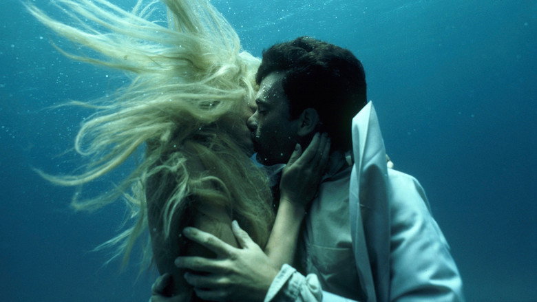 Splash still 4