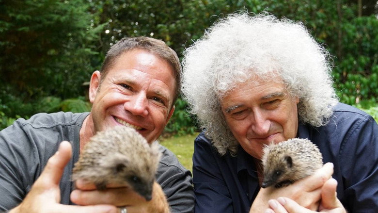 Meet the Hedgehogs still 1