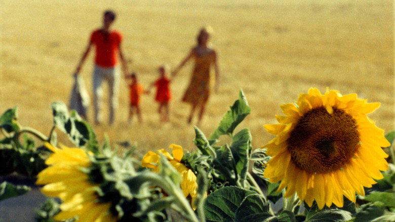 Happiness still 4