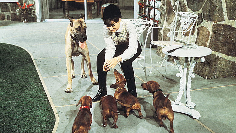 The Ugly Dachshund still 4