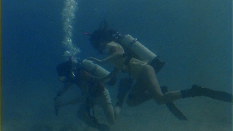 Barracuda still 3