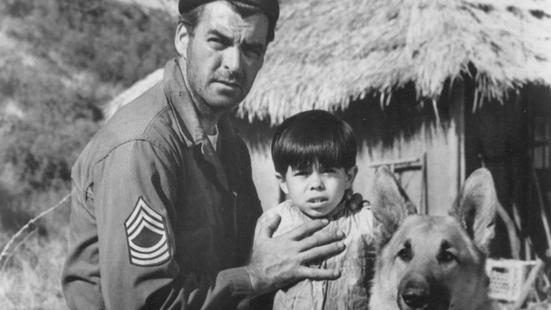 The Young and the Brave still 2