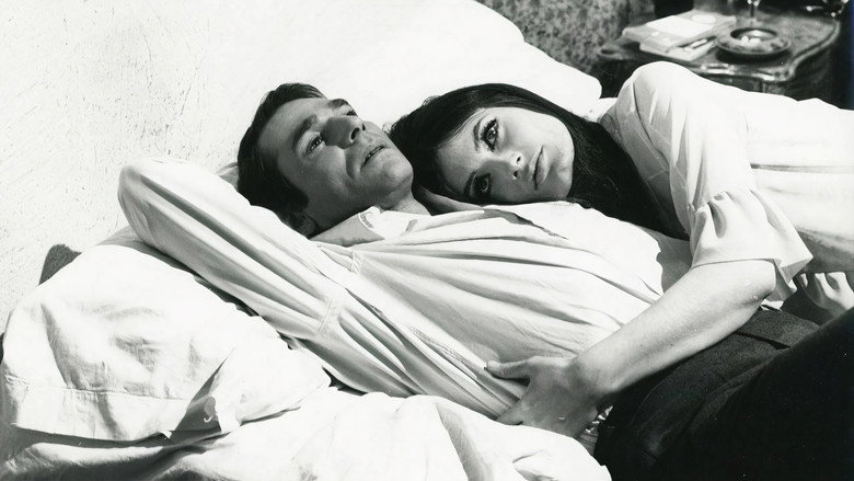 Versatile Lovers still 1