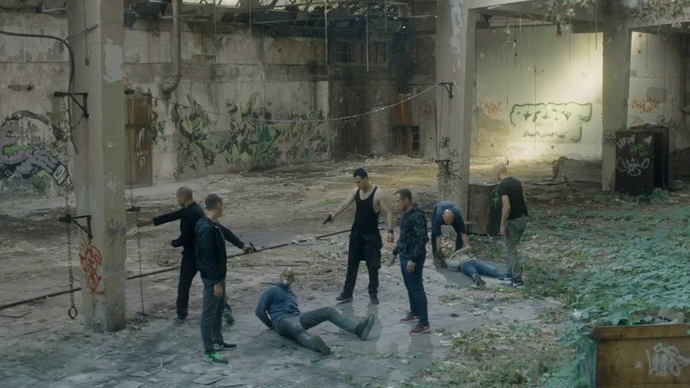 The F#@king dog still 8