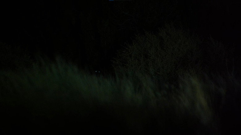 Cactus Juice still 8