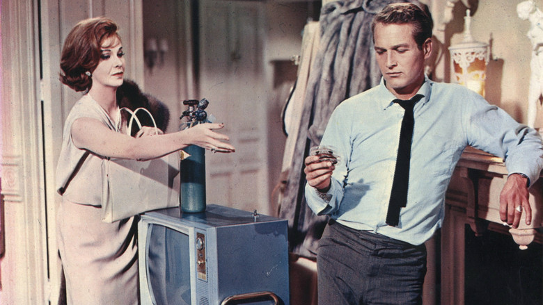 Sweet Bird of Youth still 3