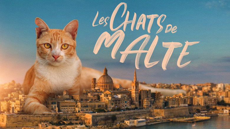 Cats of Malta still 2