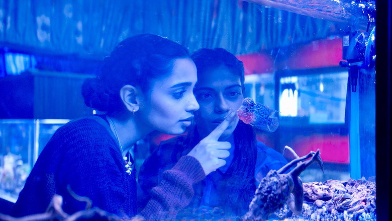 The Shameless still 2