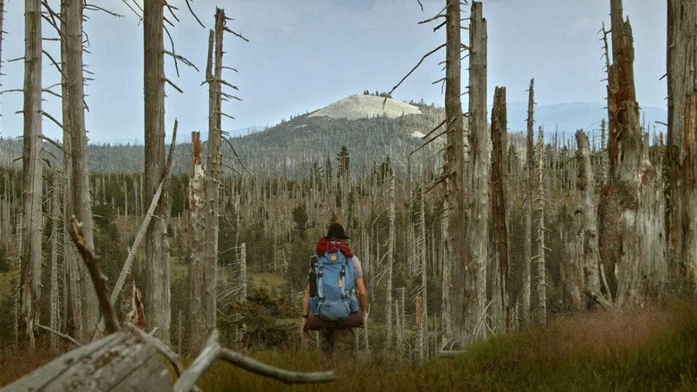 The Wild Forest still 5