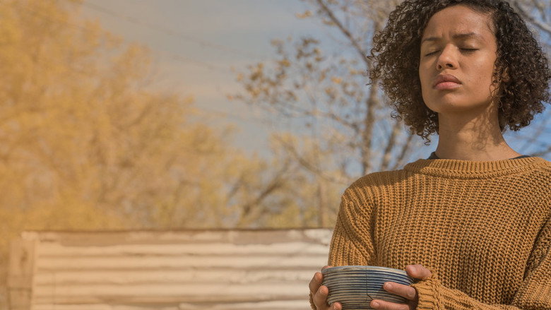Fast Color still 8
