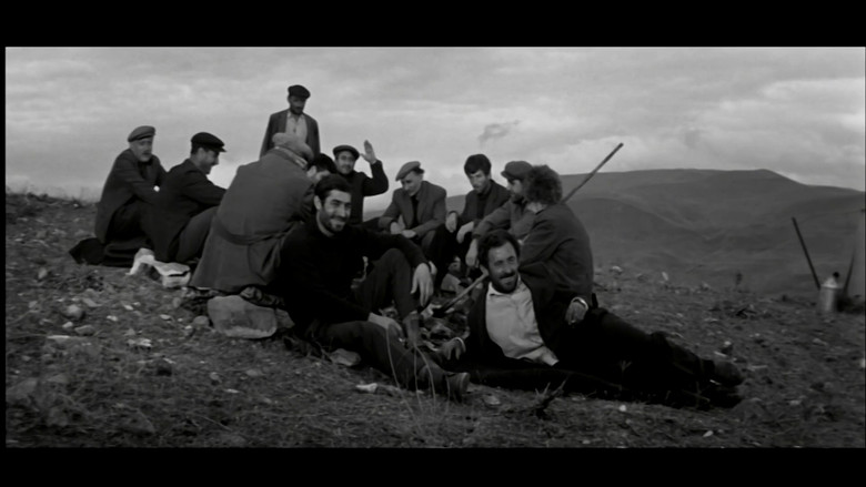 Madness still 3