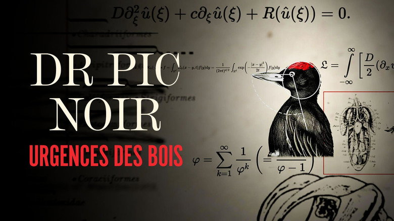 Dr Pic Noir, urgence des bois still 2