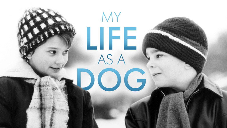 My Life as a Dog still 8